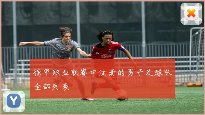 德甲职业联赛中注册的男子足球队全部列表